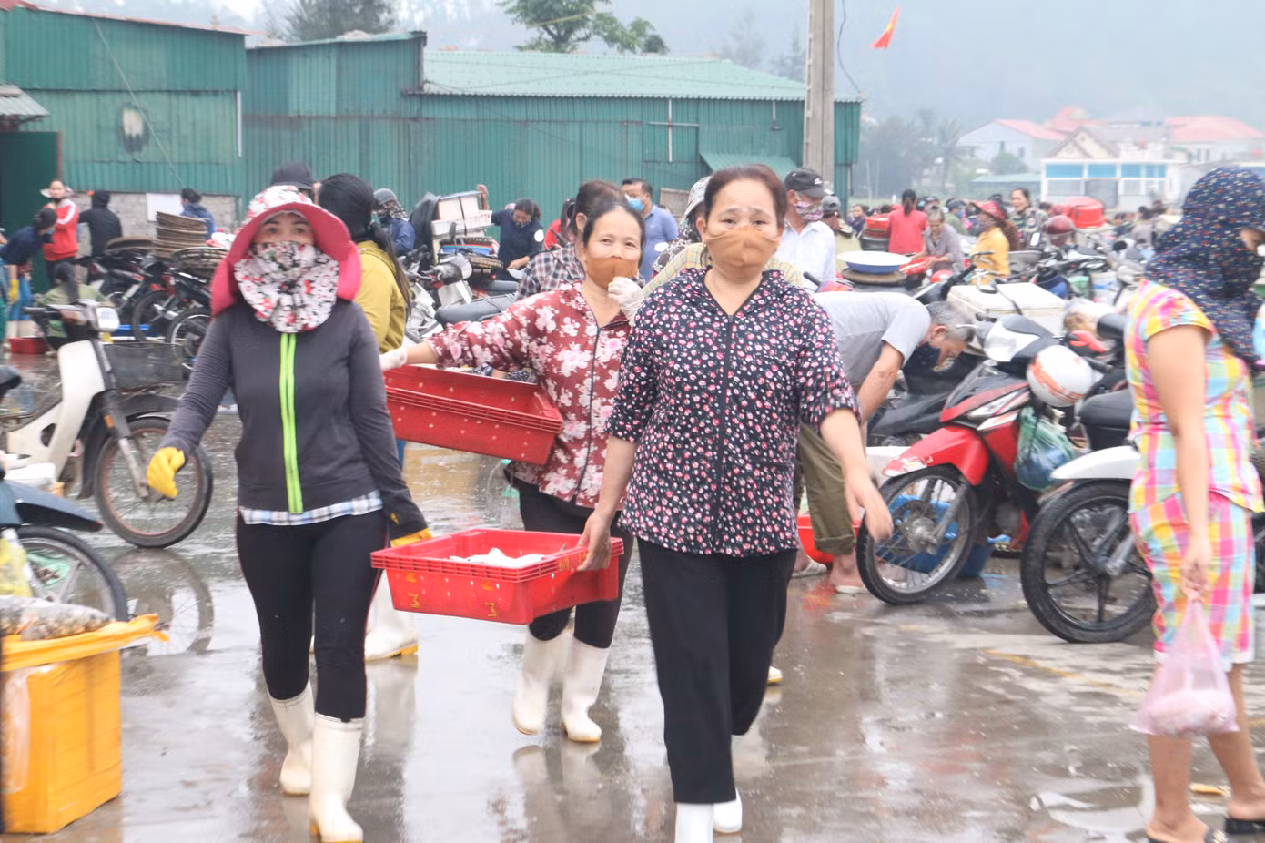 Nhịp sống nơi cảng cá bình yên mỗi chuyến thuyền về cập bến ảnh 5