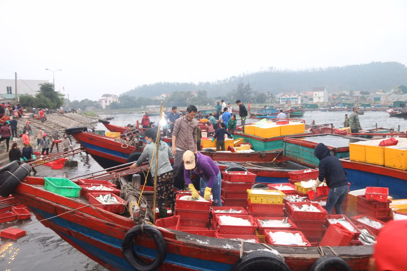 Nhịp sống nơi cảng cá bình yên mỗi chuyến thuyền về cập bến ảnh 1