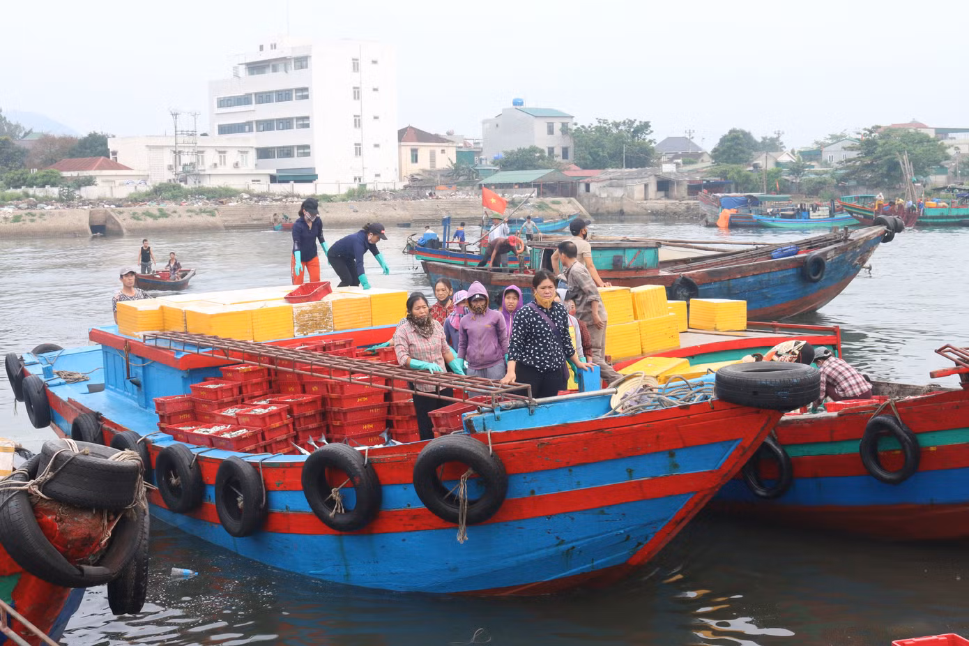 Nhịp sống nơi cảng cá bình yên mỗi chuyến thuyền về cập bến ảnh 2