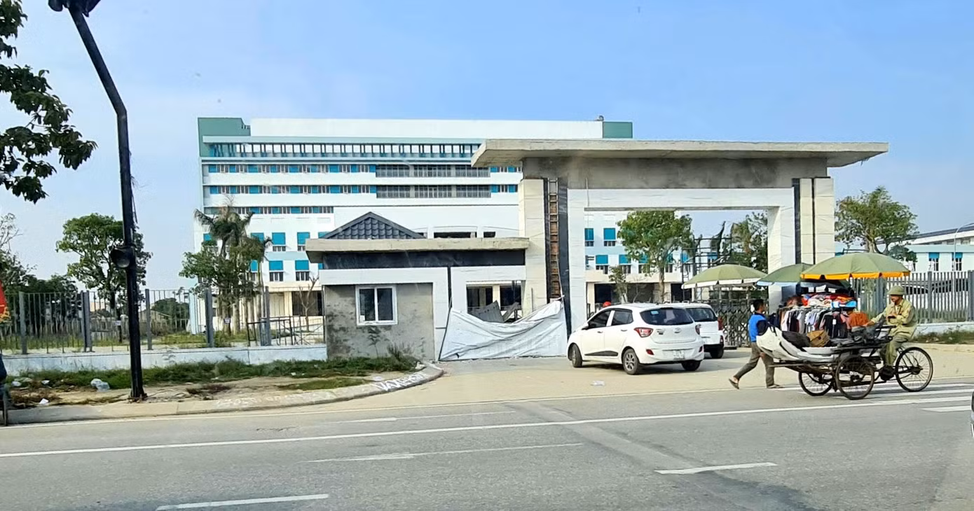 Trâu ‘điên’ lao vào công ty húc người ảnh 6