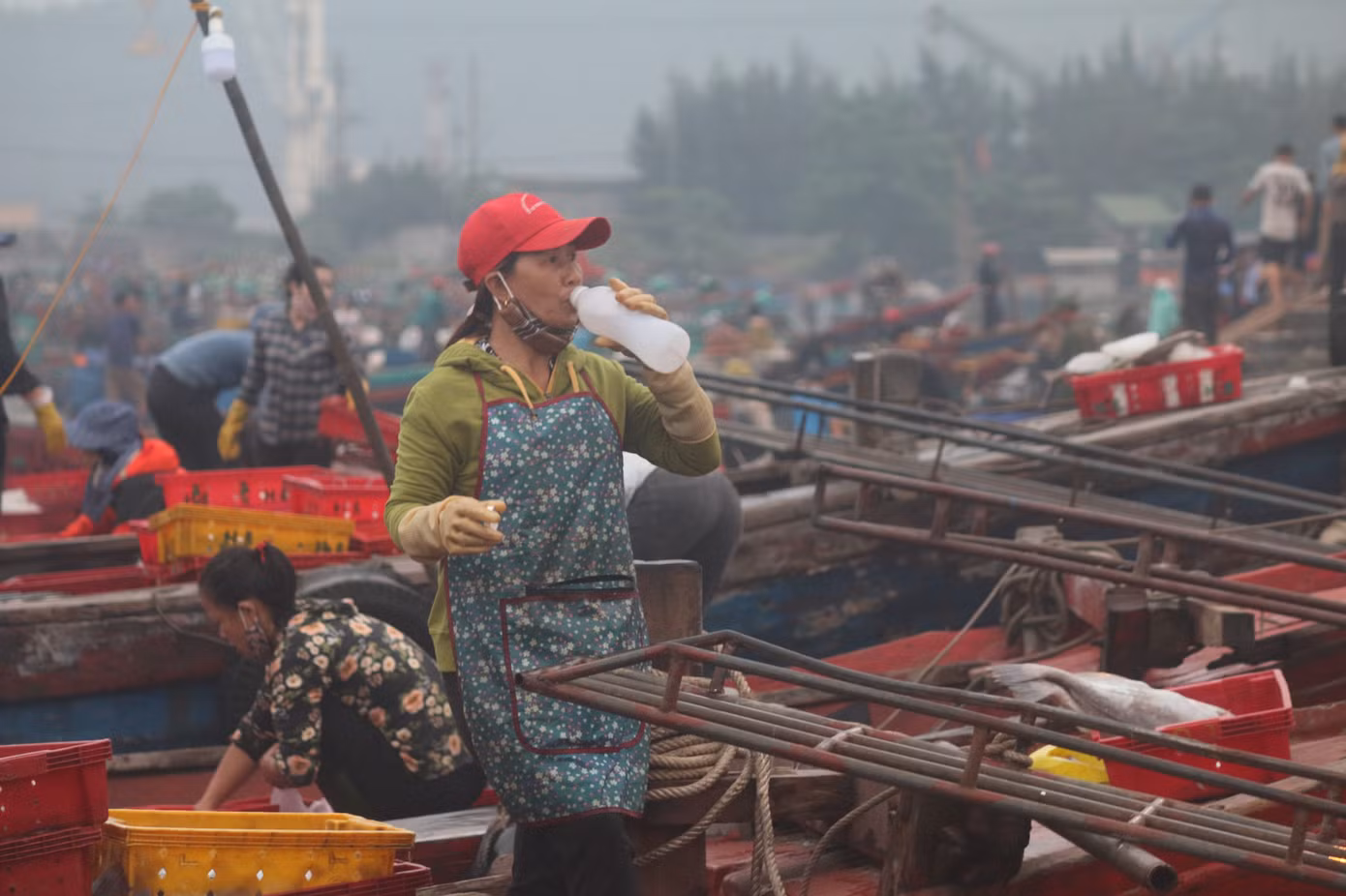 Nhịp sống nơi cảng cá bình yên mỗi chuyến thuyền về cập bến ảnh 10