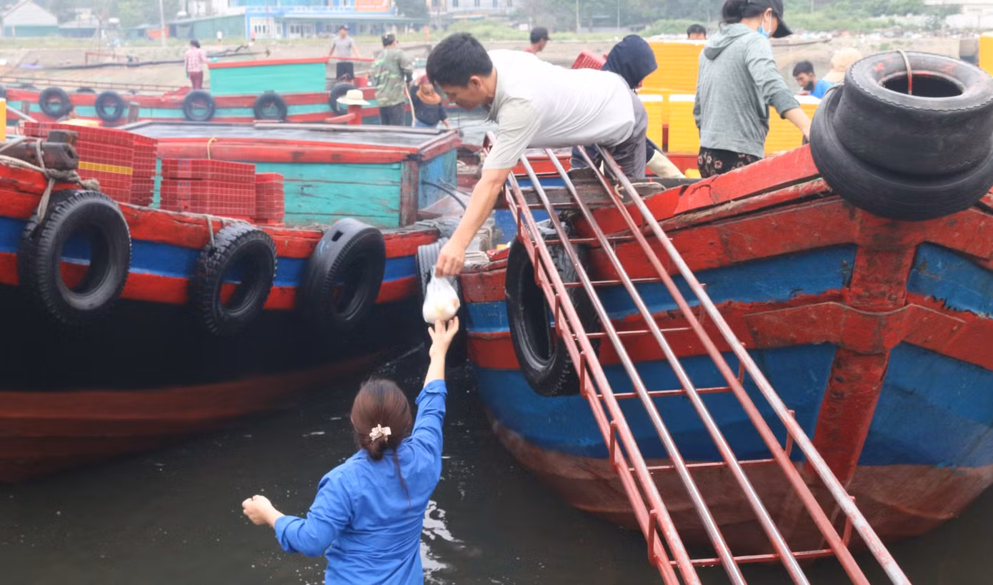 Nhịp sống nơi cảng cá bình yên mỗi chuyến thuyền về cập bến ảnh 3