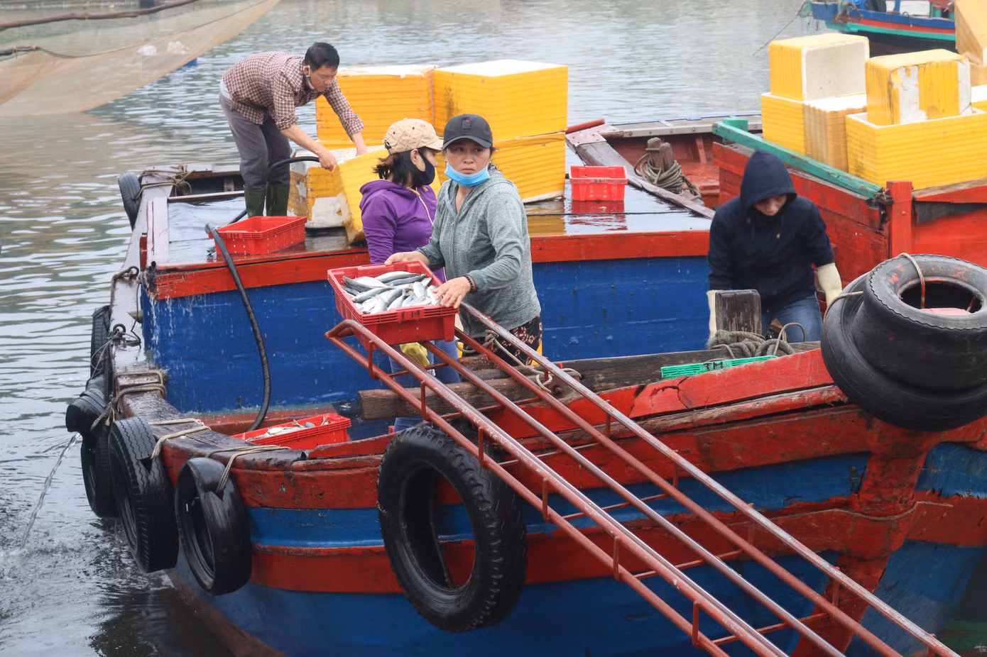 Nhịp sống nơi cảng cá bình yên mỗi chuyến thuyền về cập bến ảnh 4