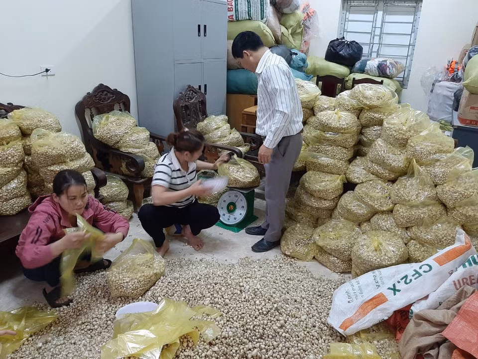 Lâm Đồng cho đấu giá thuê rừng để làm du lịch sinh thái ảnh 6