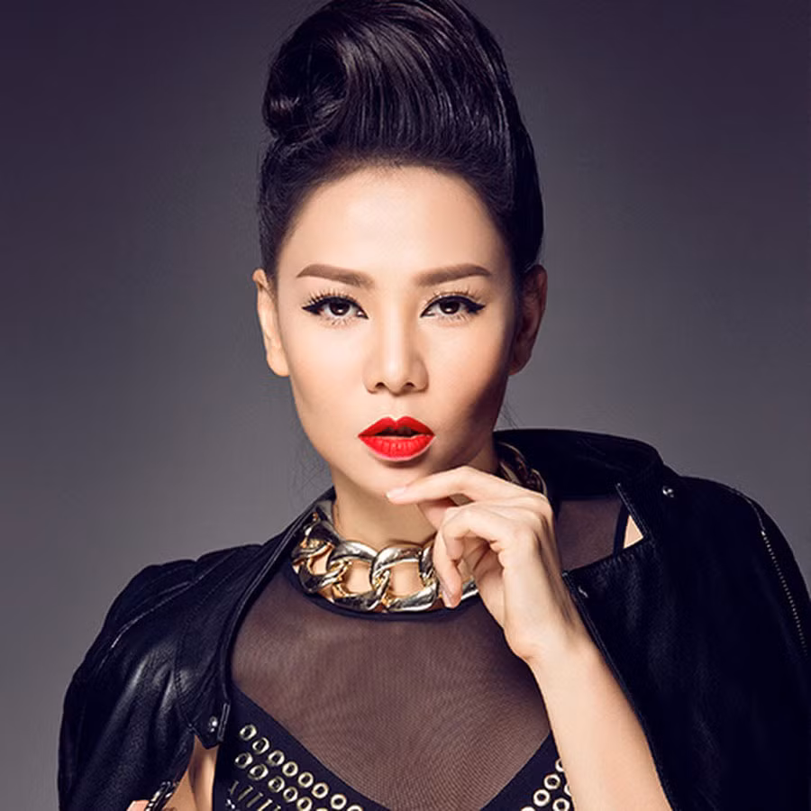 Nghệ sĩ Việt đối đầu với khen chê và cách đáp trả khôn ngoan của Hoàng Bách, Thu Minh ảnh 3