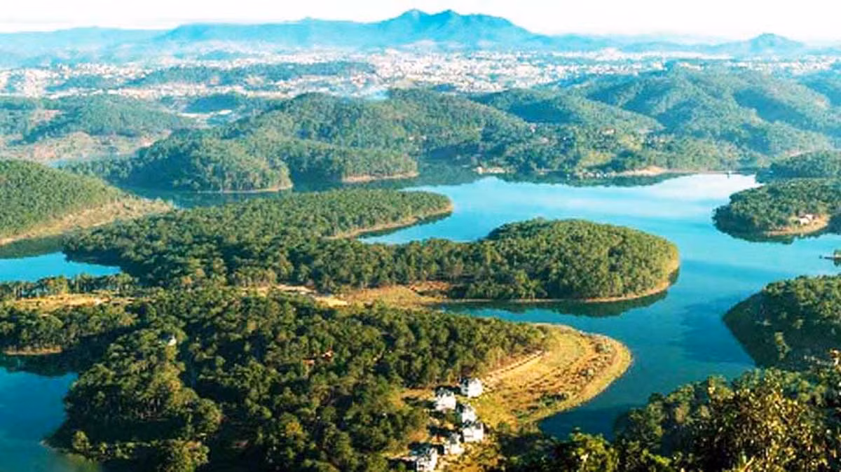 Lâm Đồng cho đấu giá thuê rừng để làm du lịch sinh thái ảnh 2