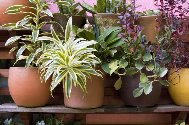 Thoát hiểm thần kỳ khi cả 4 động cơ máy bay đều hỏng ảnh 4