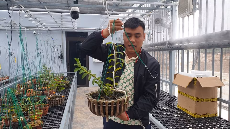 Bùi Hoàng Giang cùng chậu lan var tiền tỷ trước khi bị bắt