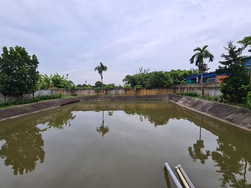 Hàng nghìn hộ dân bất an vì nước sinh hoạt chuyển màu, bốc mùi hôi nồng nặc ảnh 3