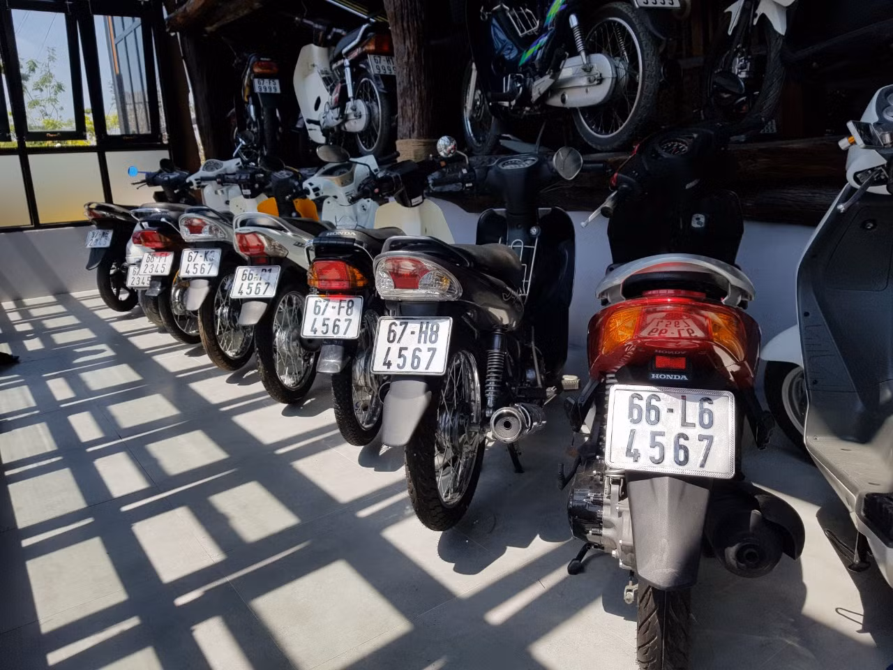 Mê mẩn bộ sưu tập 500 chiếc xe máy biển số 'khủng' ảnh 6