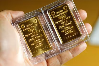 Mỗi năm các cảng biển Việt Nam thất thu 1 tỷ USD phí bốc dỡ container ảnh 2