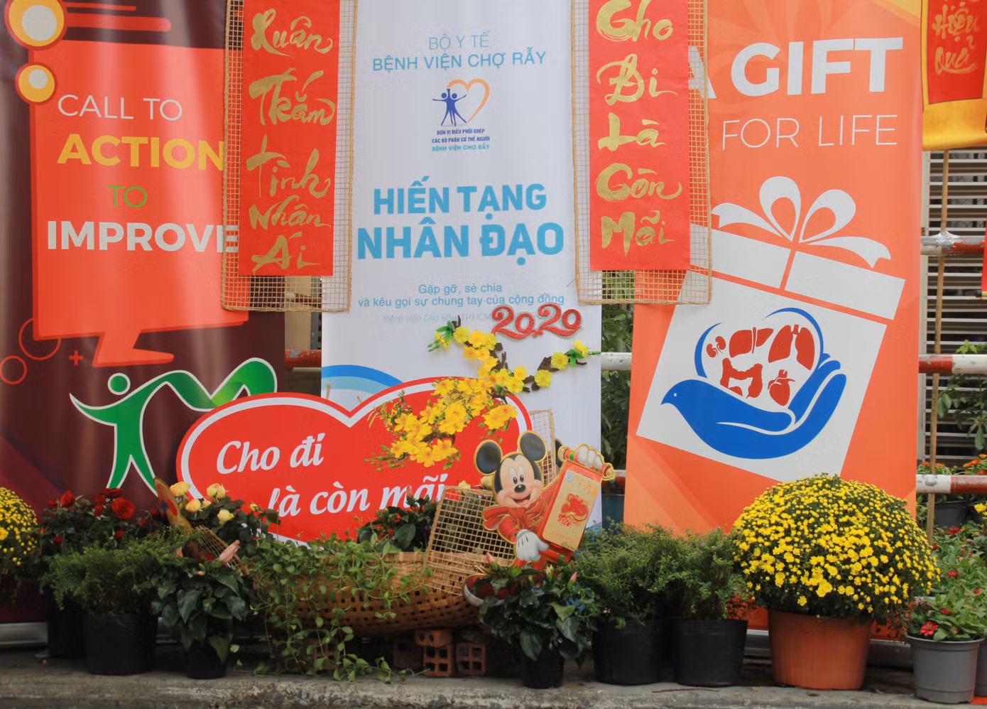 Đẹp mắt đường hoa xuân do các y, bác sỹ dày công chuẩn bị ảnh 10