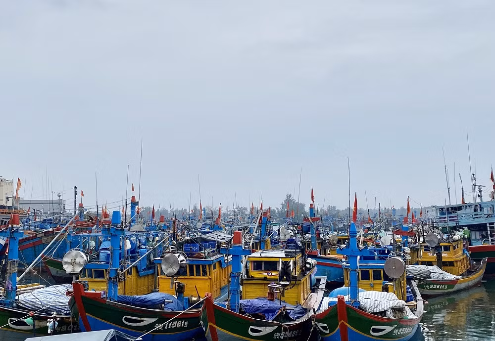 Hàng trăm du khách vội vã rời đảo Lý Sơn để tránh bão số 5 ảnh 6