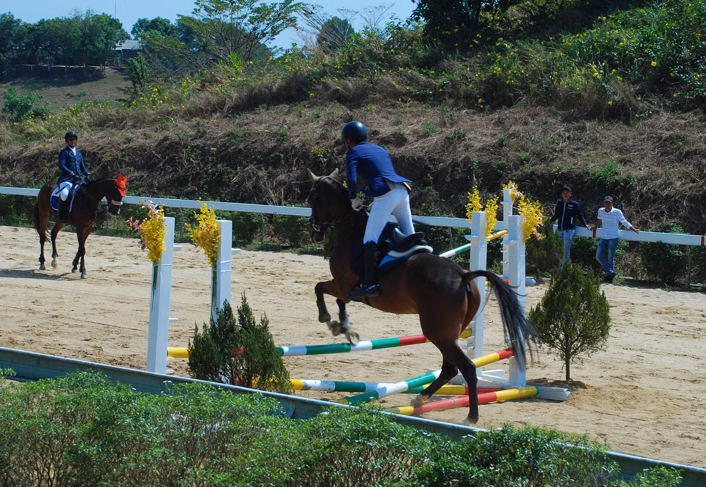 Ra mắt CLB Cưỡi ngựa Olympic ảnh 5