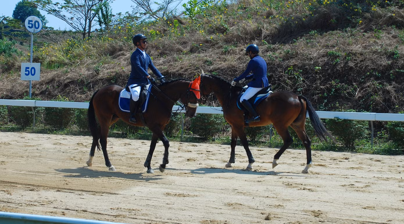 Ra mắt CLB Cưỡi ngựa Olympic ảnh 2