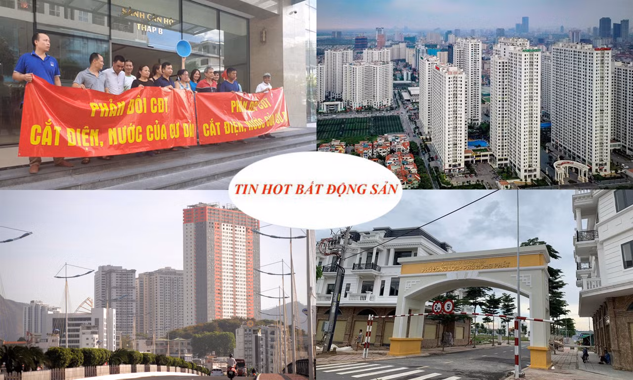 TPHCM rà soát 24 dự án nhà ở có nguồn gốc đất công ảnh 2