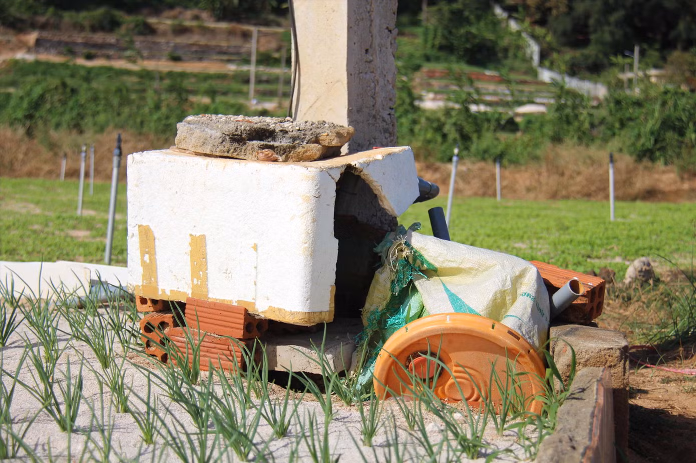 Ồ ạt khoan giếng không phép ở Lý Sơn ảnh 1