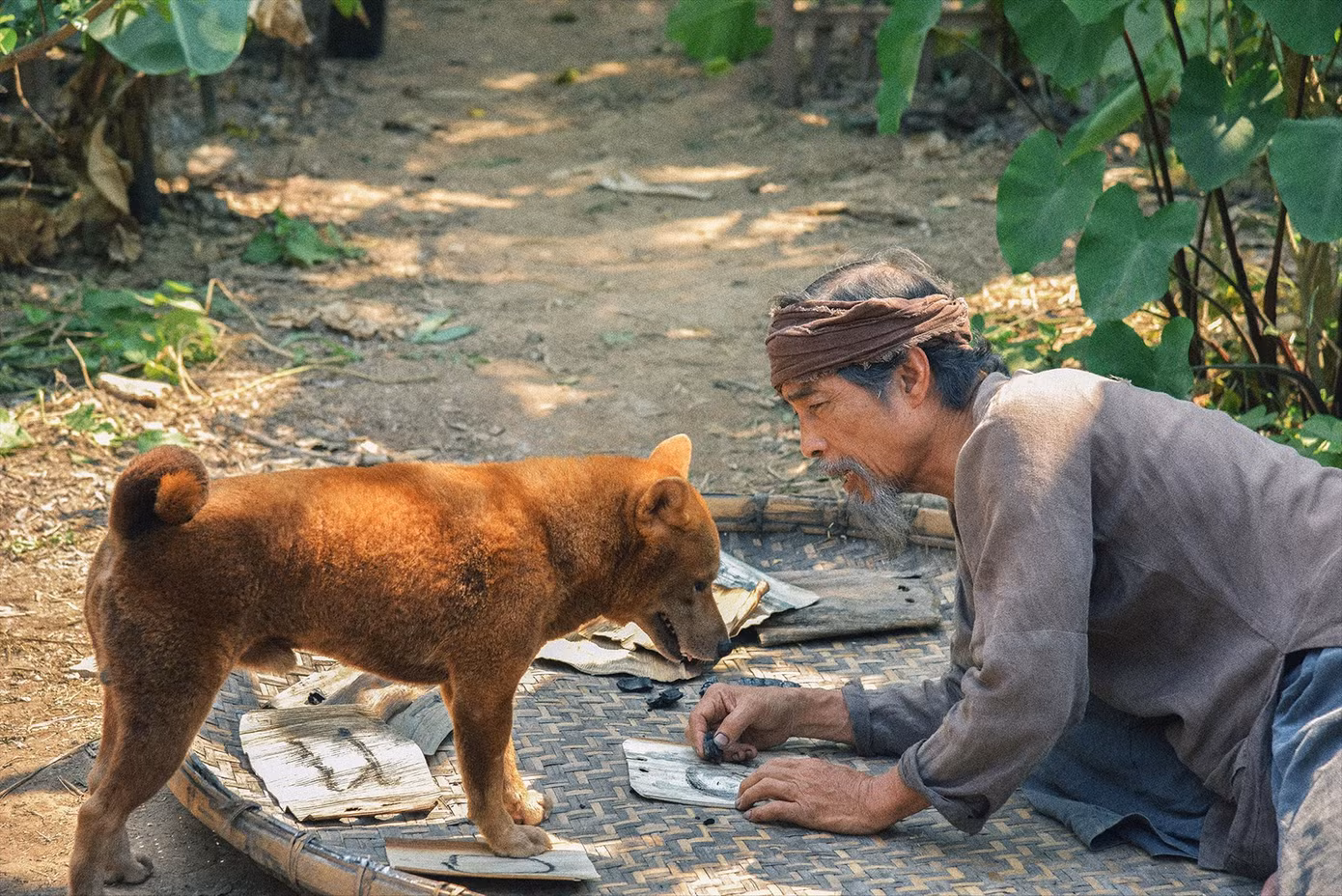 Lão Hạc đầy bất ngờ trong Cậu Vàng ảnh 1