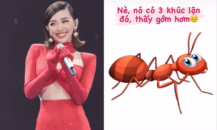 Ngôi sao Broadway 70 tuổi bị bắn chết ảnh 4