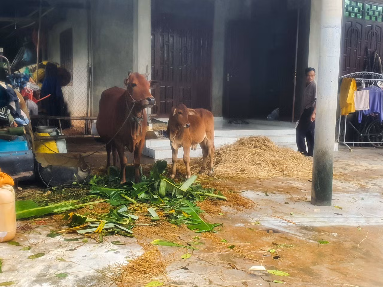 Người dân Quảng Trị mòn mỏi chờ lũ rút để được nấu cơm ảnh 19