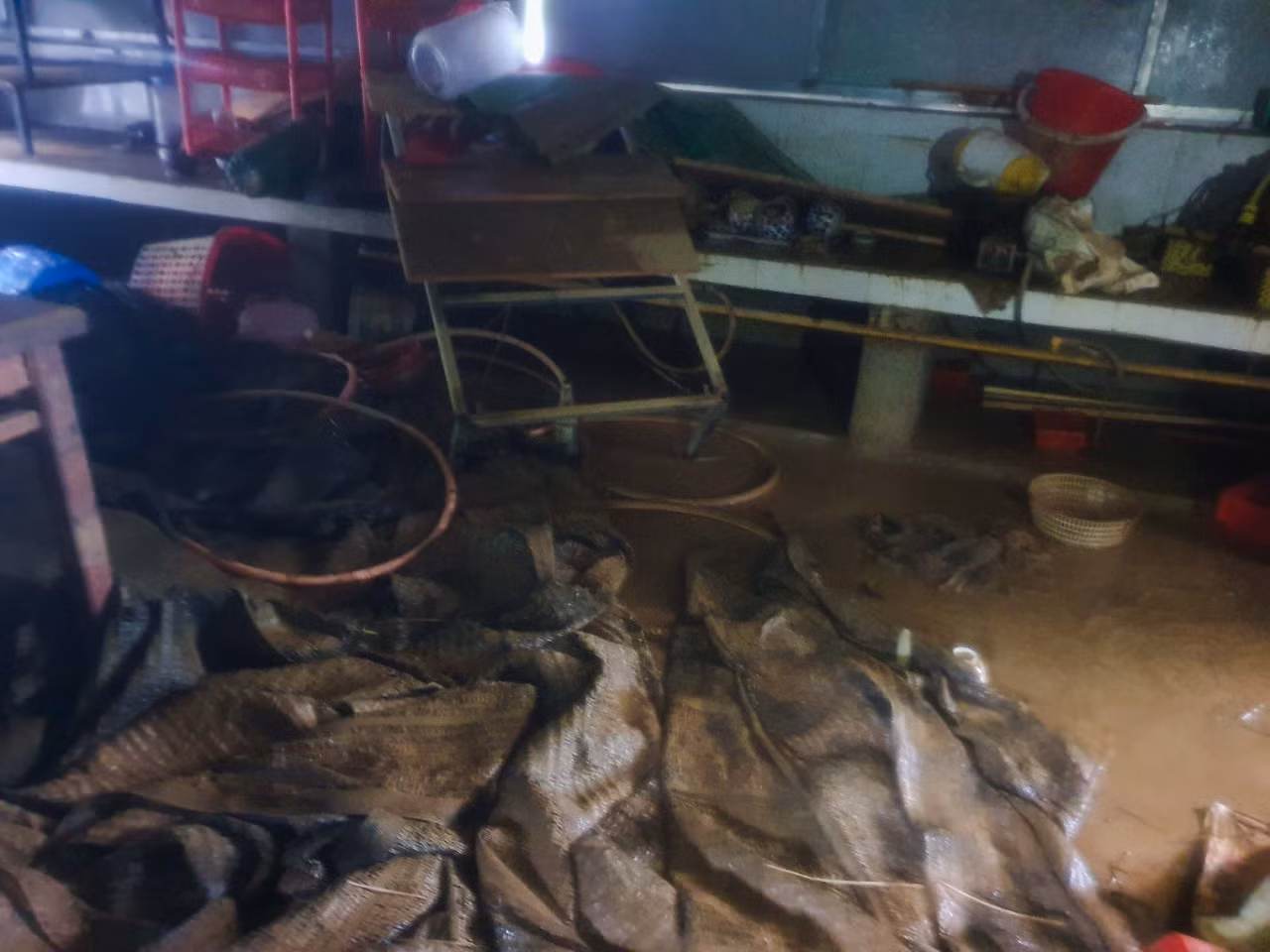 Người dân Quảng Trị mòn mỏi chờ lũ rút để được nấu cơm ảnh 12