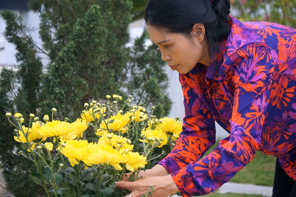 Người dân Thủ đô đưa con cháu lên Hòa Bình tảo mộ trước Tết ảnh 2