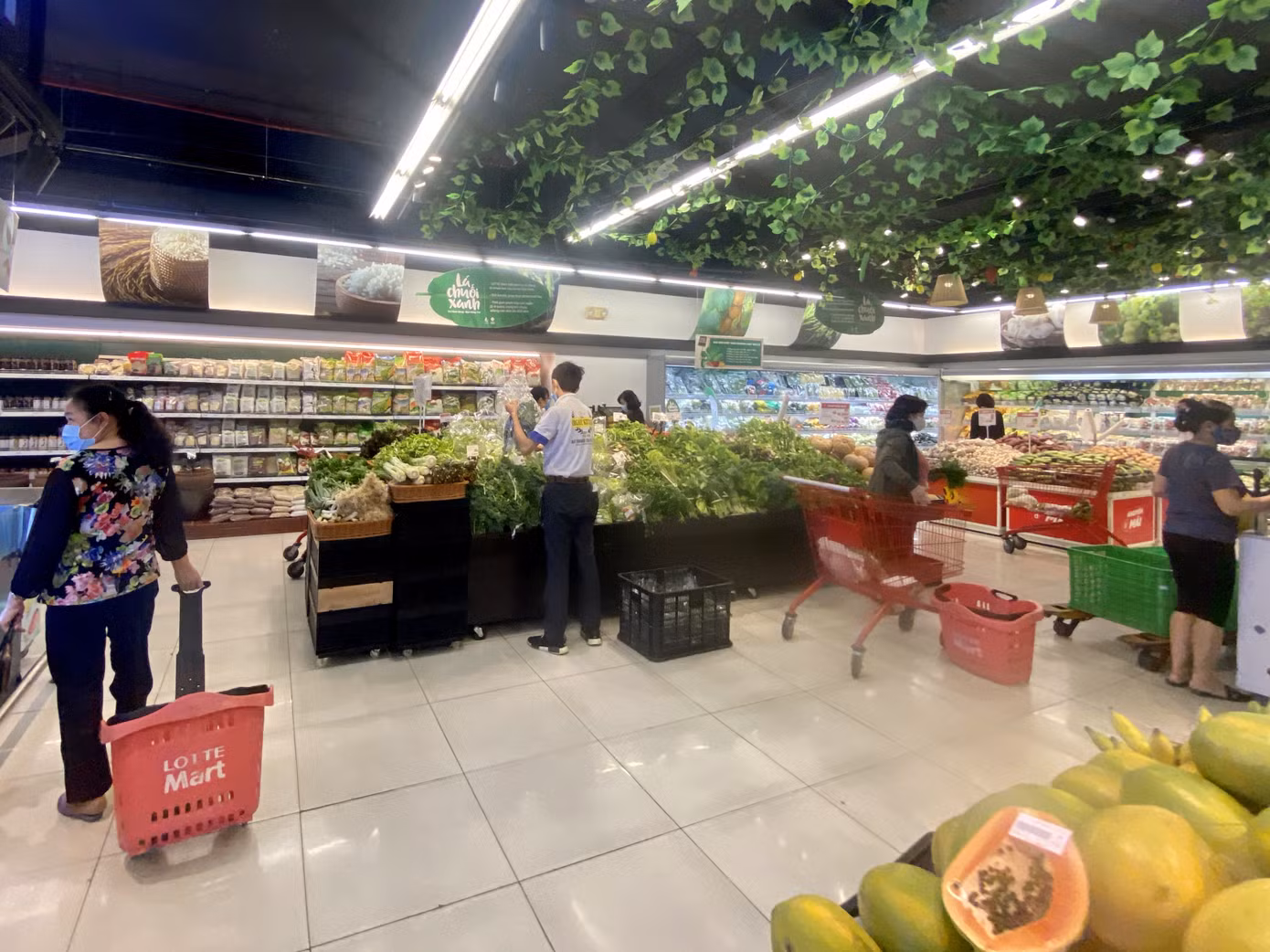 Giá rau, củ, quả giảm mạnh từ chợ cho đến siêu thị ảnh 3