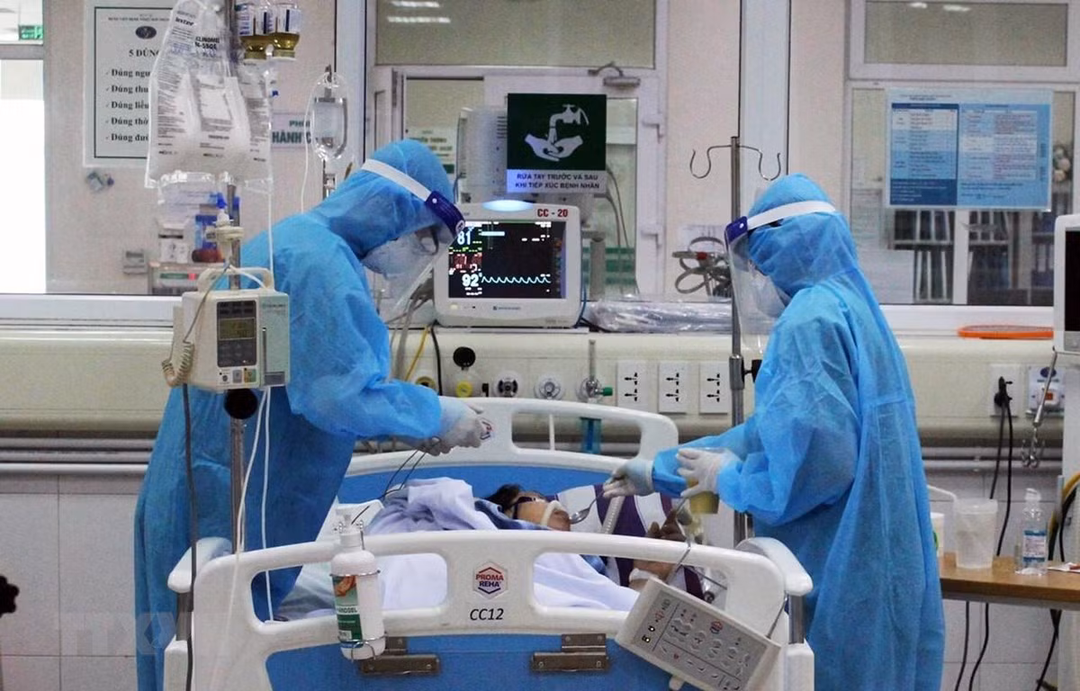 Hàng trăm du khách vội vã rời đảo Lý Sơn để tránh bão số 5 ảnh 7