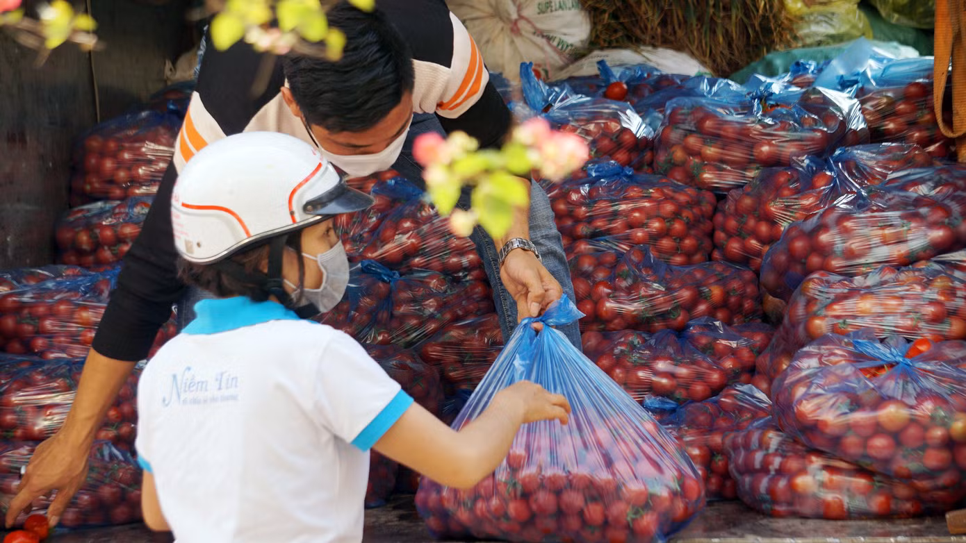 Tuổi trẻ Quảng Trị với nhiều hoạt động thiết thực trong Tháng Thanh niên 2021 ảnh 12