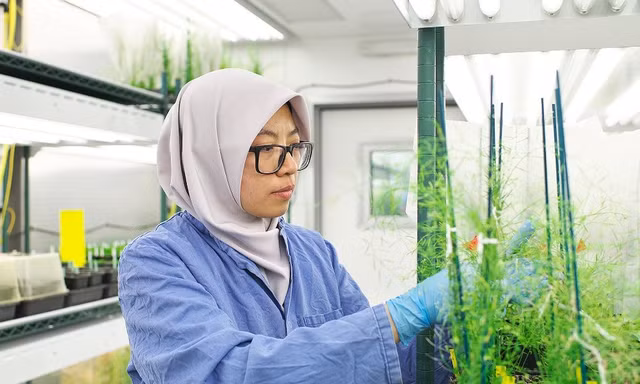 Các nhà khoa học hàng đầu thế giới hiến kế nuôi sống 10 tỷ người tại Tuần lễ Khoa học Công nghệ VinFuture 2025 