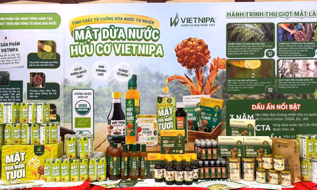 Từ đặc sản Cần Giờ đến thị trường Mỹ: VIETNIPA mở rộng hành trình của mật dừa nước Việt Nam