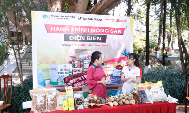"Hành trình Nông sản Điện Biên" thúc đẩy ứng dụng TMĐT, mở rộng đầu ra bền vững cho nông đặc sản địa phương