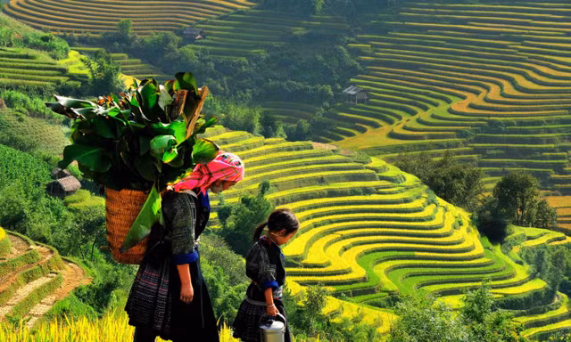 Tuổi trẻ vì cộng đồng (Y4C): Hành trình giáo dục trải nghiệm tại Bảo Thắng trước thềm năm mới