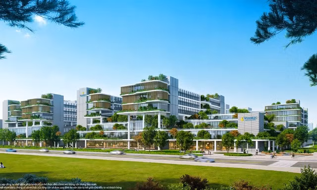 Nhận diện các cột mốc tăng trưởng của 'Quận Nhất ven biển' Vịnh Tiên giai đoạn 2026-2029 