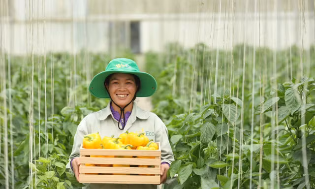 Masan tham gia triển lãm 80 năm ngành Nông nghiệp và Môi trường