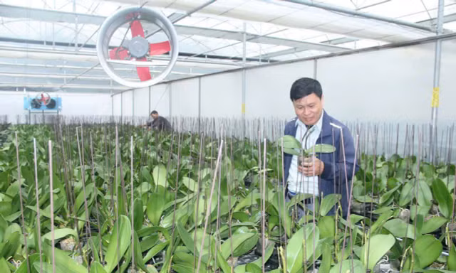 Thanh Hóa: Nông nghiệp công nghệ cao hướng đến tăng trưởng xanh và bền vững