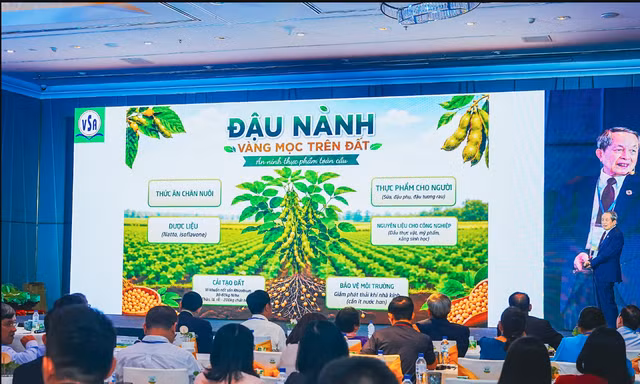 Hội thảo khoa học: Vai trò dinh dưỡng từ đậu nành và các loại hạt đối với sức khỏe và phòng chống bệnh không lây nhiễm