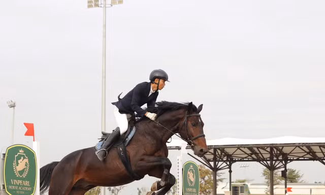 Vinpearl Equestrian Cup 2025: Bước đột phá của thể thao cưỡi ngựa Việt Nam