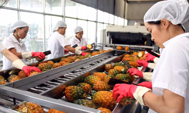 EU siết dư lượng thuốc bảo vệ thực vật, doanh nghiệp xuất khẩu đối mặt thêm rào cản