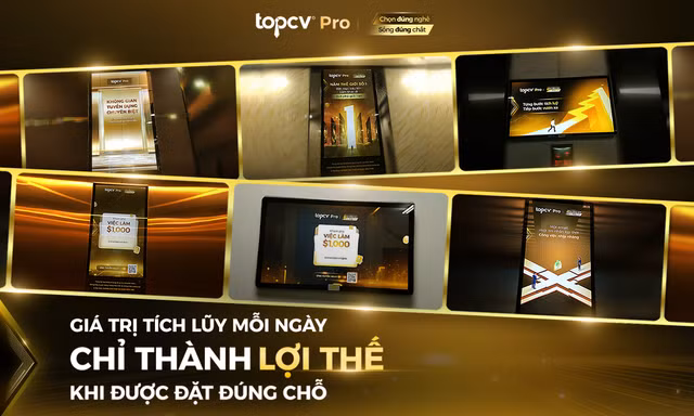 TopCV Pro: Giá trị tích lũy mỗi ngày chỉ thành lợi thế khi được đặt đúng chỗ 