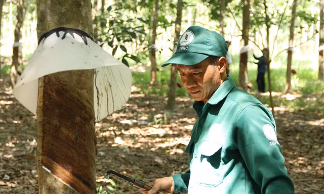 Gắn sản xuất với nhiệm vụ giữ gìn an ninh vùng biên