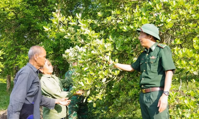 Sắc xanh trên tuyến đầu biên giới Lạng Sơn