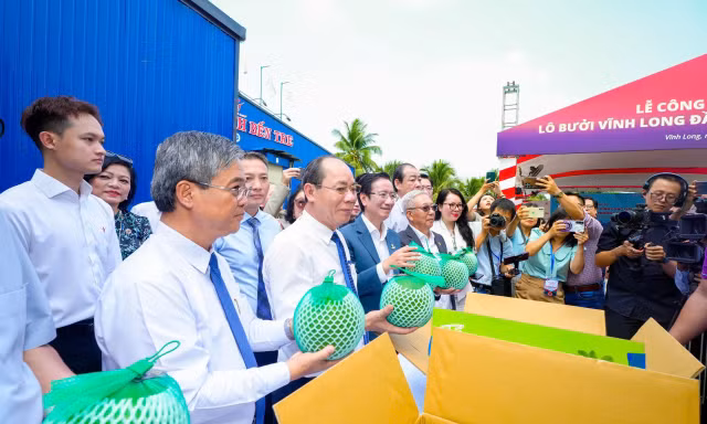 Quy trình nghiêm ngặt để xuất khẩu lô bưởi đầu tiên sang Úc