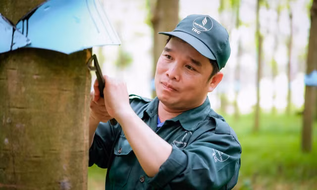 Từ 'Bàn tay vàng' đến Bằng khen của Thủ tướng