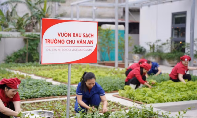Cùng gieo thói quen sống khỏe từ bữa ăn học đường