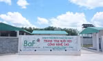 Doanh nghiệp chăn nuôi lãi 'khủng' bất chấp dịch tả lợn châu Phi
