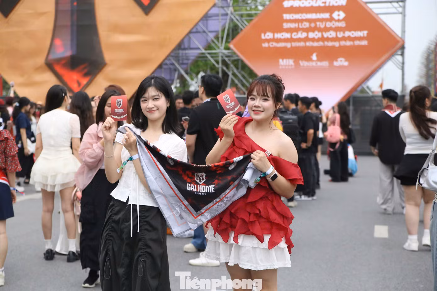 tp-11.jpg