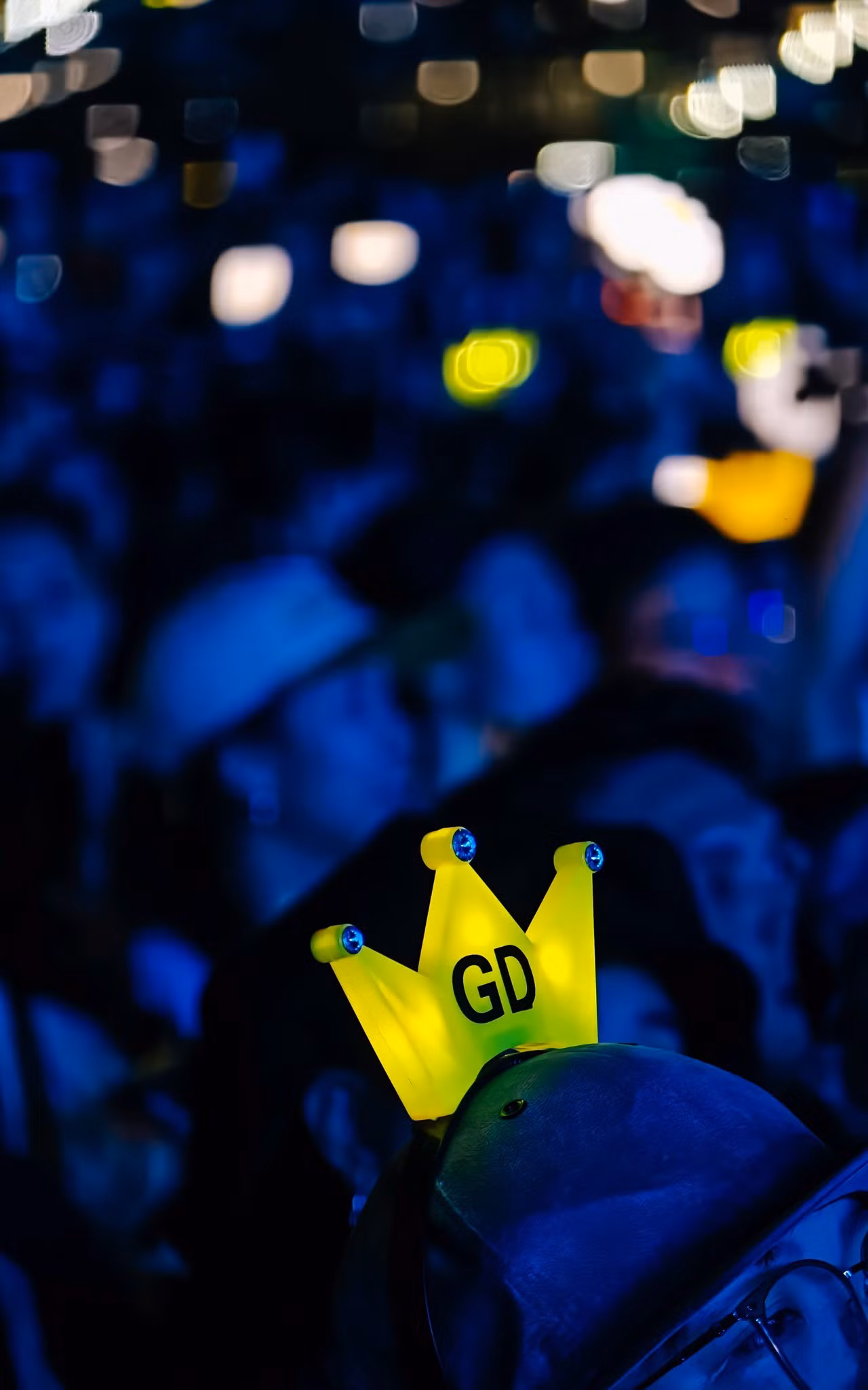 gd333.jpg