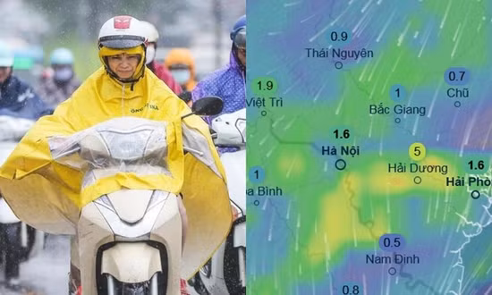 Đợt không khí lạnh sắp về kèm combo mưa gió, nhiệt độ sẽ giảm mạnh