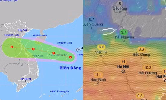 Bão Bualoi có đường đi lượn theo bờ biển nước ta, phạm vi ảnh hưởng rộng